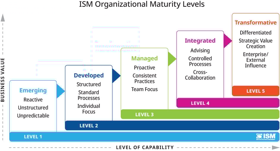 ISM Organizational Maturity Assessment Model ISM Organizational Maturity Assessment Model
