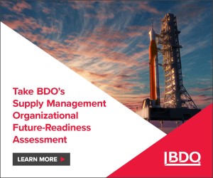 future readiness assessment BDO