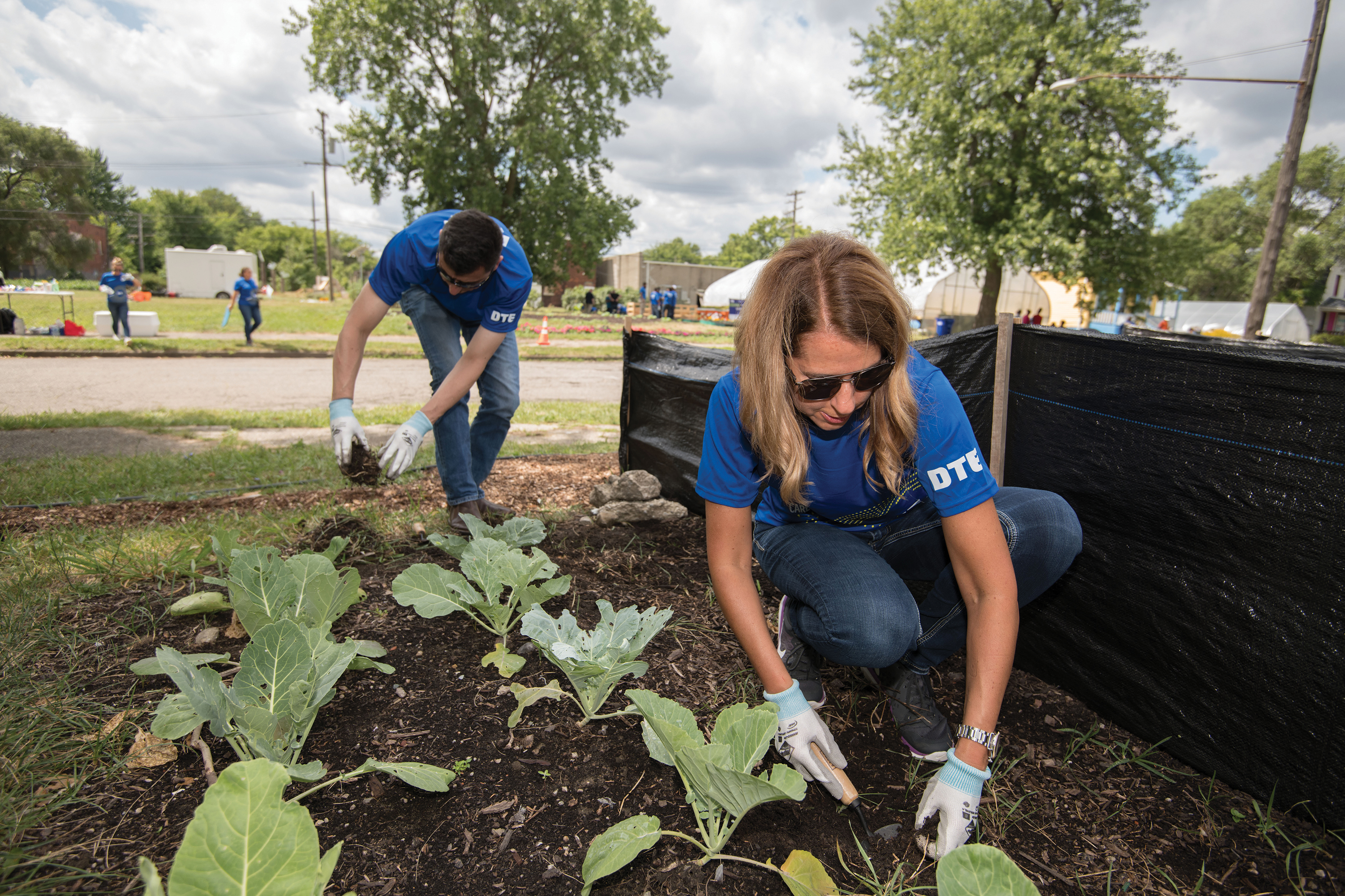 DTE employees volunteering copy.jpg