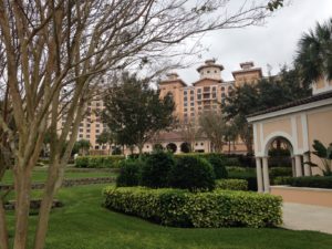 Rosen Shingle Creek INDIRECT