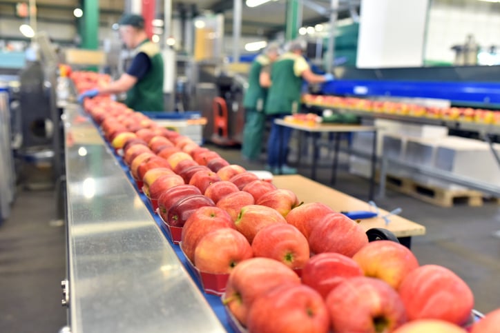 Apple belt.jpg