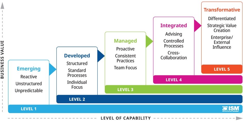 ISM Organizational Maturity Assessment Model